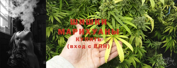 apvp Карпинск